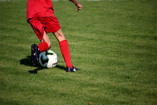 开运app入口-中国足球职业俱乐部推动管理层岗位轮训制度，职业足球俱乐部训练计划